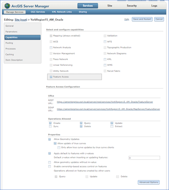 ArcGIS-Server-Manager.png